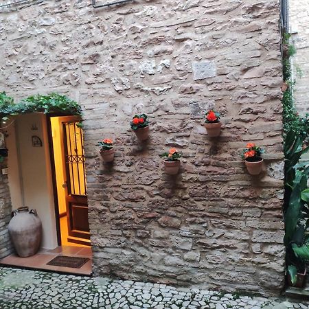 Nel Vicolo Dei Baci - Casa Vacanze Al Bacio Lägenhet Spello Exteriör bild