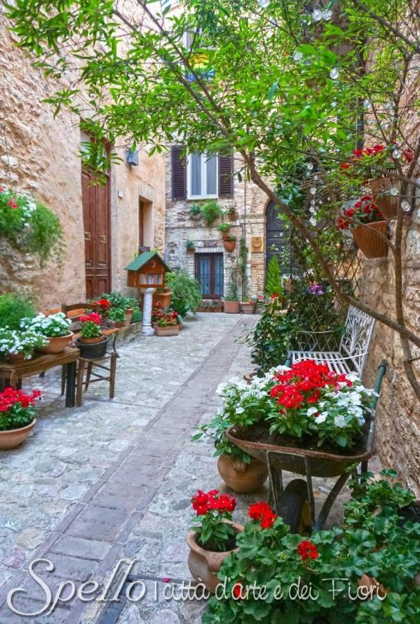 Nel Vicolo Dei Baci - Casa Vacanze Al Bacio Lägenhet Spello Exteriör bild